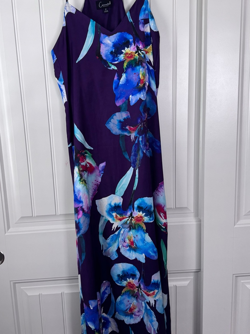 Connected apparel Purple Floral Maxi Dress with Blue Accents
